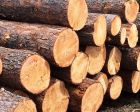Для деревообработки 